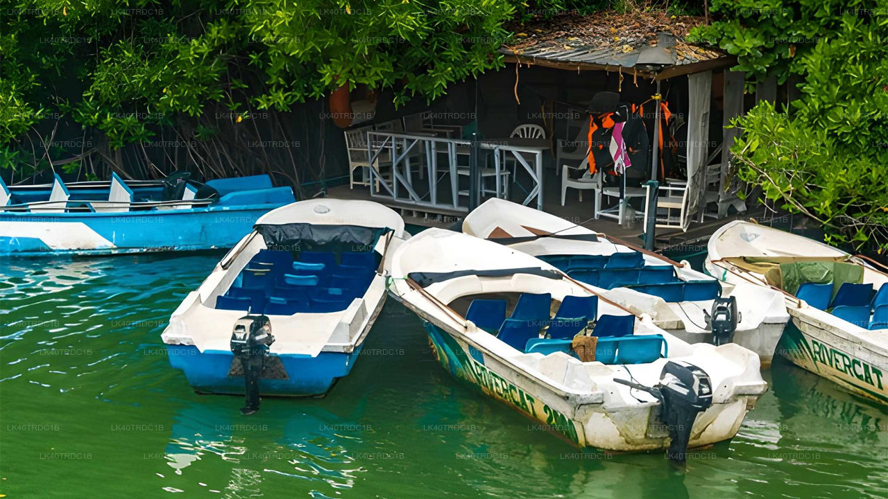 Индивидуальный трансфер из Негомбо в Хирикетию с остановками для осмотра достопримечательностей.