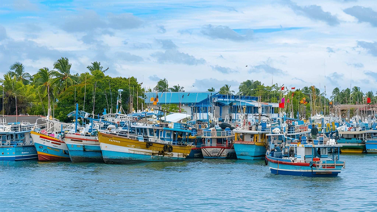 Индивидуальный трансфер из Негомбо в Хирикетию с остановками для осмотра достопримечательностей.