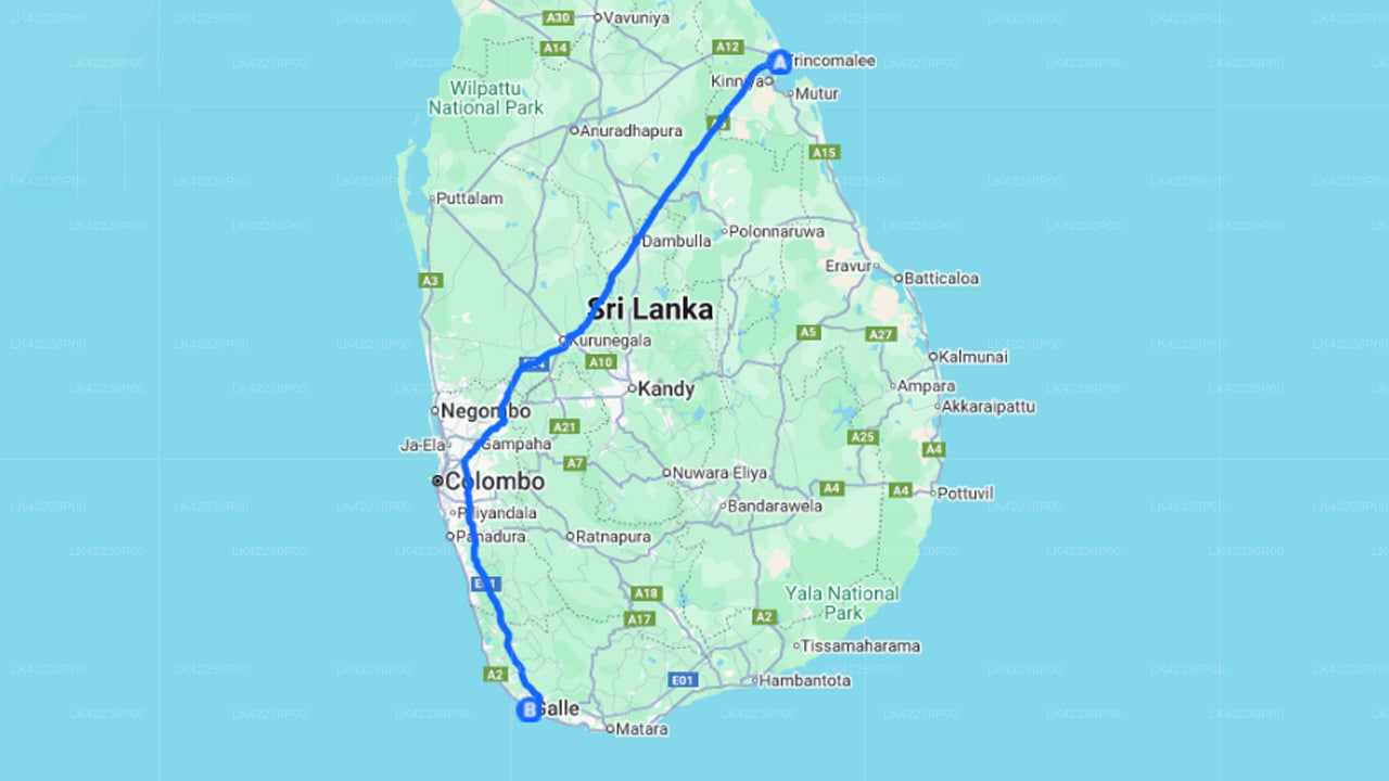 Trincomalee City to Galle City Private Transfer
