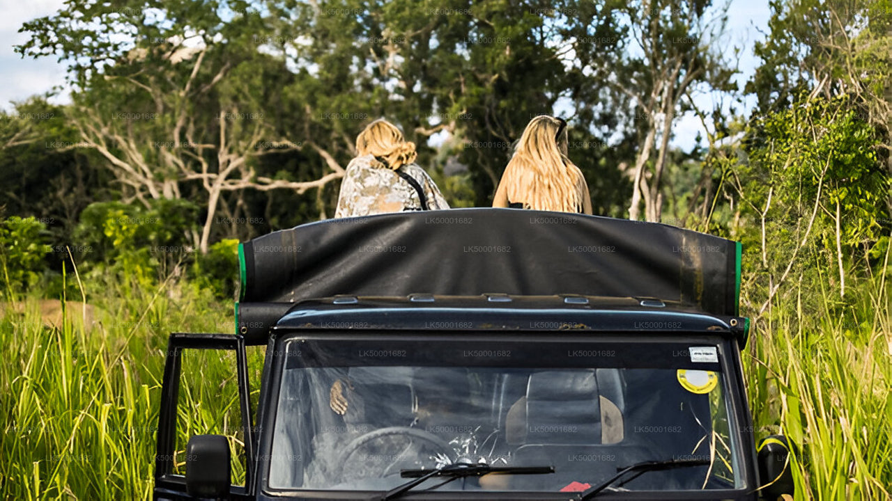 Private Tour from Ella to Weligama with Yala Safari