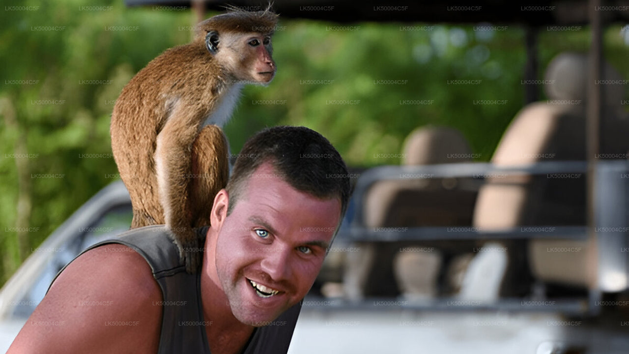 Частный тур из Эллы в Велигаму с Udawalawe Safari