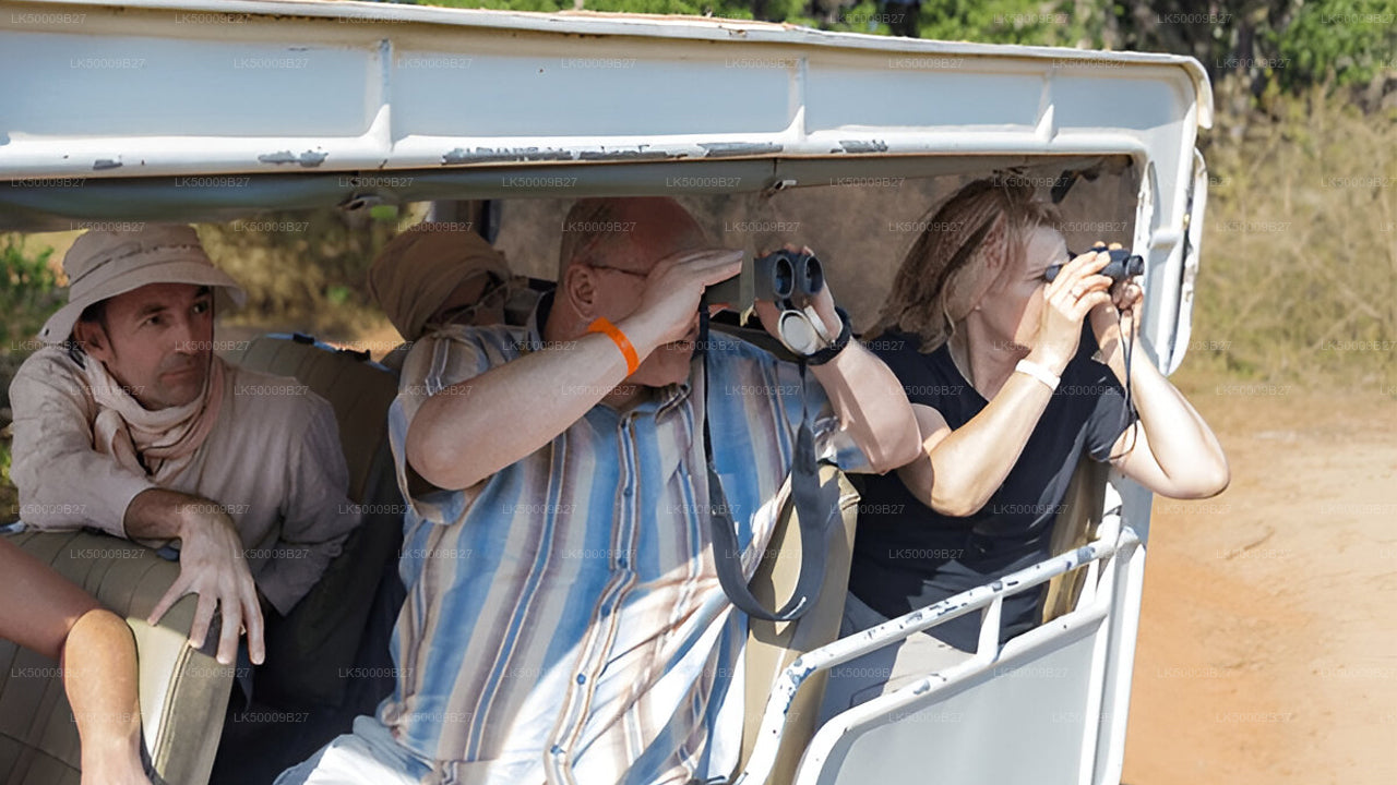 Частный тур из Велигамы в Эллу с Yala Safari