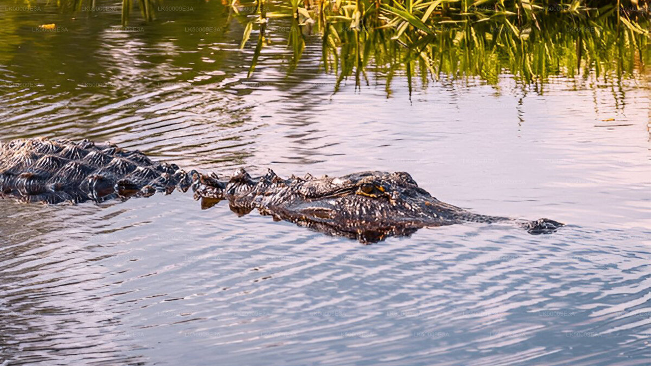 Входной билет в национальный парк Удавалаве