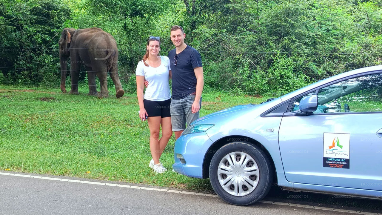 Private Tour from Ella to Hiriketiya with Udawalawe Safari