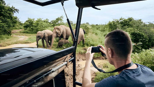 Индивидуальный тур из Эллы в Хирикетию с компанией Сафари Удавалаве