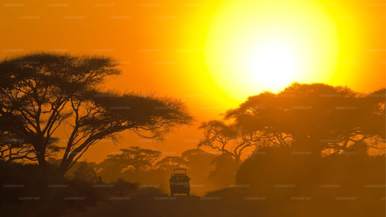 Частный тур из Эллы в Хирикетию с Яла Сафари