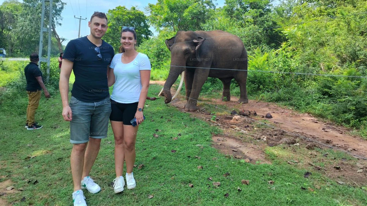 Частный тур из Эллы в Хирикетию с Яла Сафари