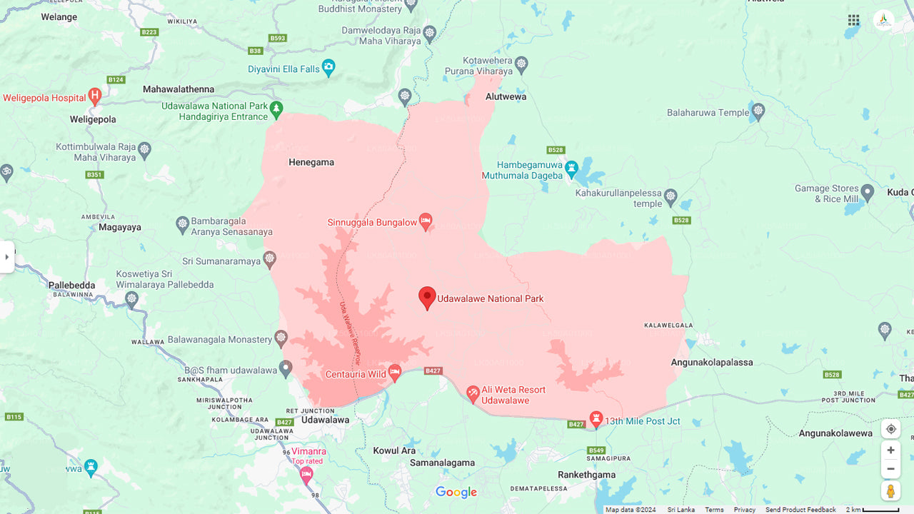 Частное сафари в национальном парке Удавалаве