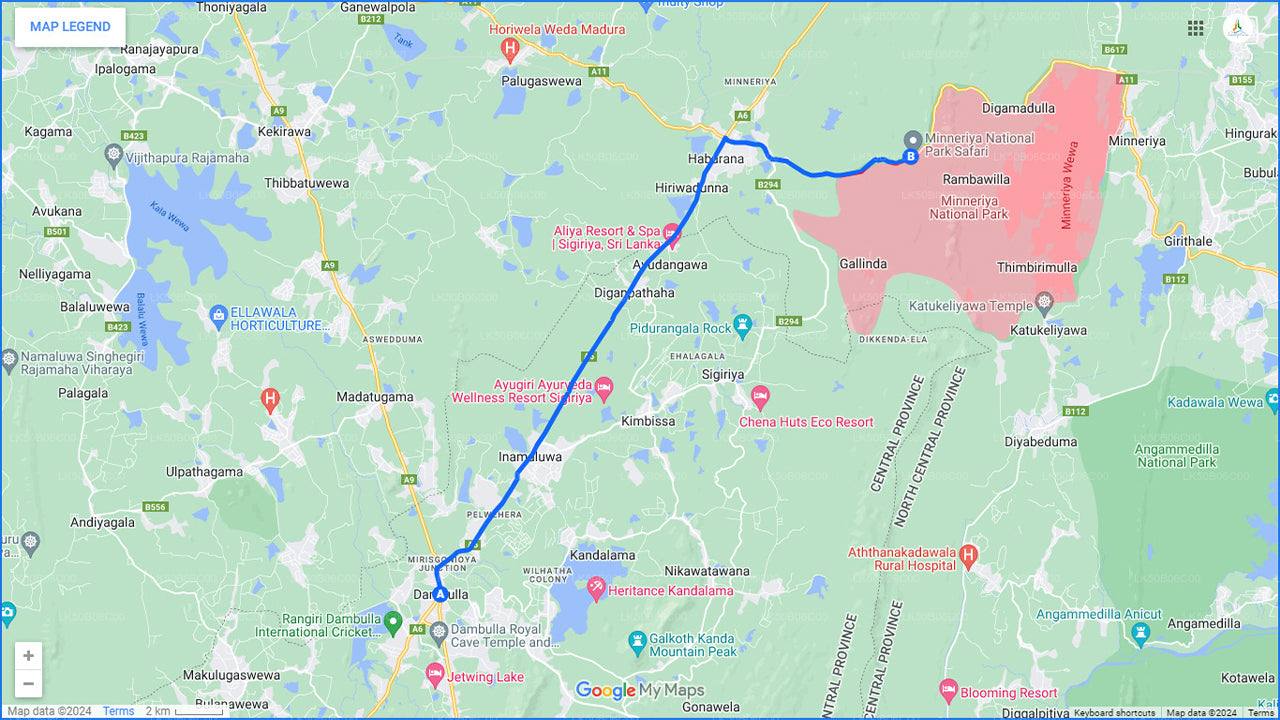 Частное сафари в национальном парке Миннерия из Дамбуллы