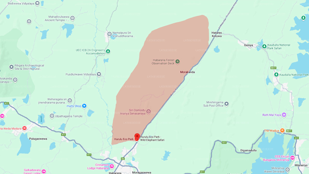 Частное сафари в экопарке Хурулу