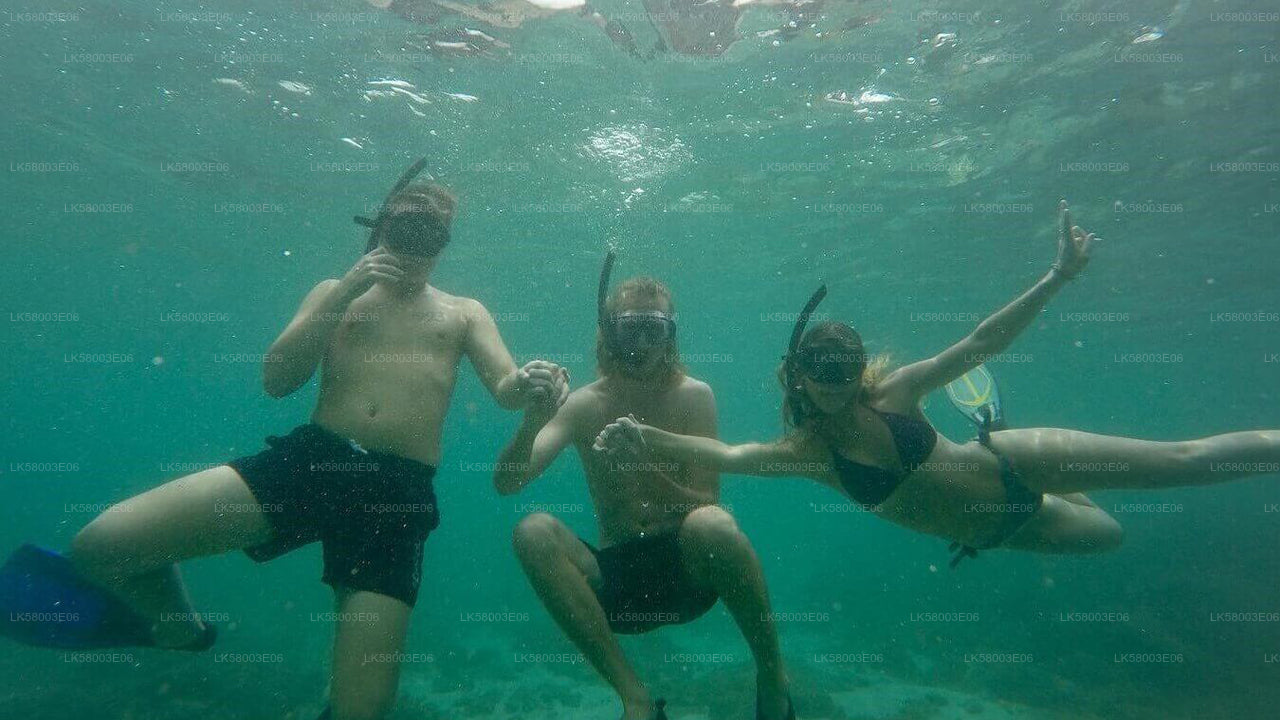 Сноркелинг в Ахангаме