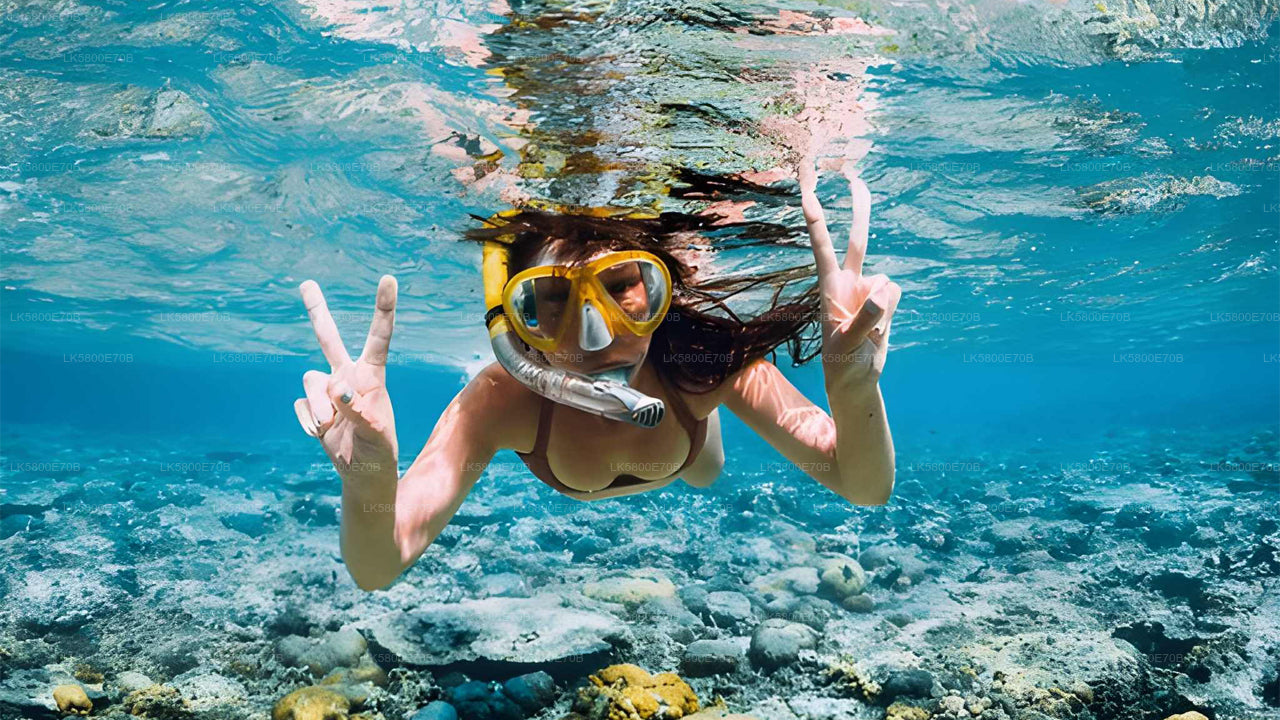 Плавание с маской и трубкой рядом с морскими черепахами в Бентоте.