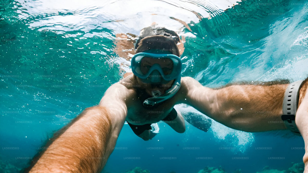Snorkeling at Pigeon Island from Trincomalee