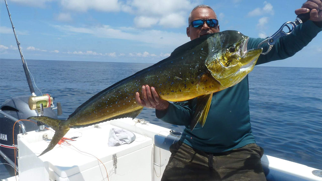 Рыболовный тур на троллинговой лодке из Галле