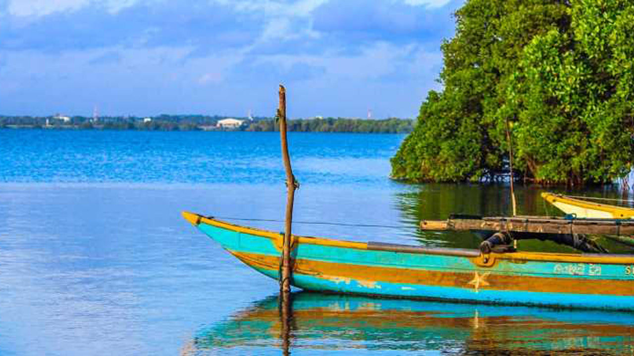 Экскурсия по Негомбо из Коломбо
