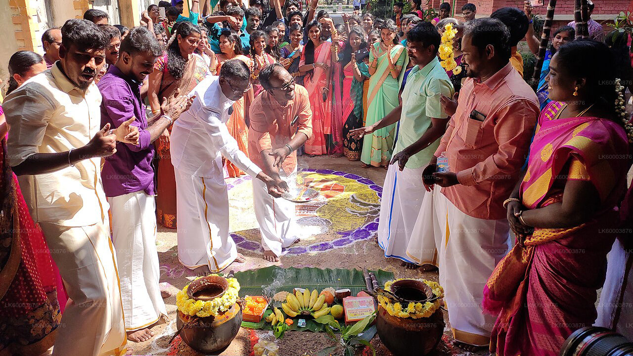 Тамильский культурный опыт Кандаполы из Нувара Элии