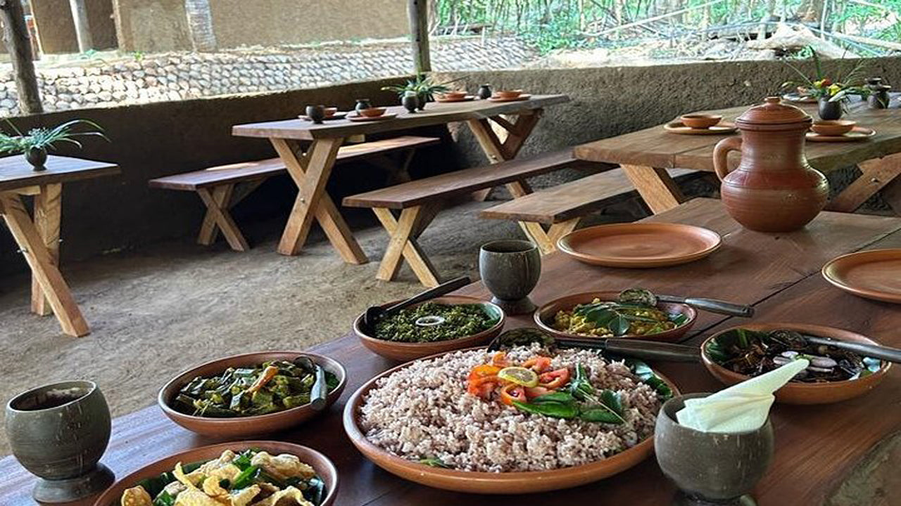 Сельское хозяйство Шри-Ланки, добыча драгоценных камней и опыт деревни на Цейлоне, 1850 год