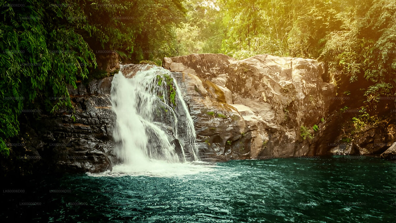 Приключенческий тур по тропическому лесу Синхараджа
