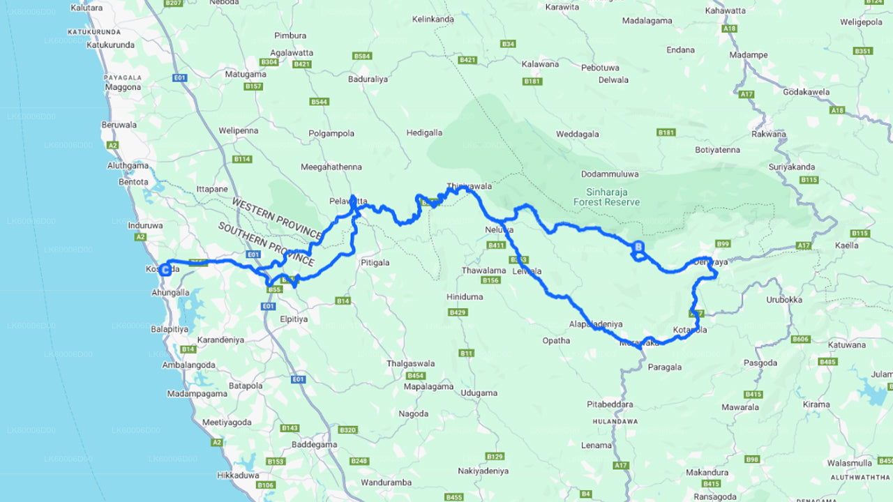Экскурсия по тропическому лесу Синхараджа из Косгоды