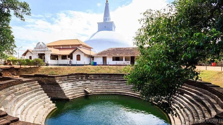 Sacred City of Anuradhapura from Trincomalee