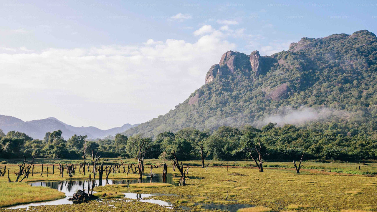 Camping Experience in Gal Oya (3 Days)