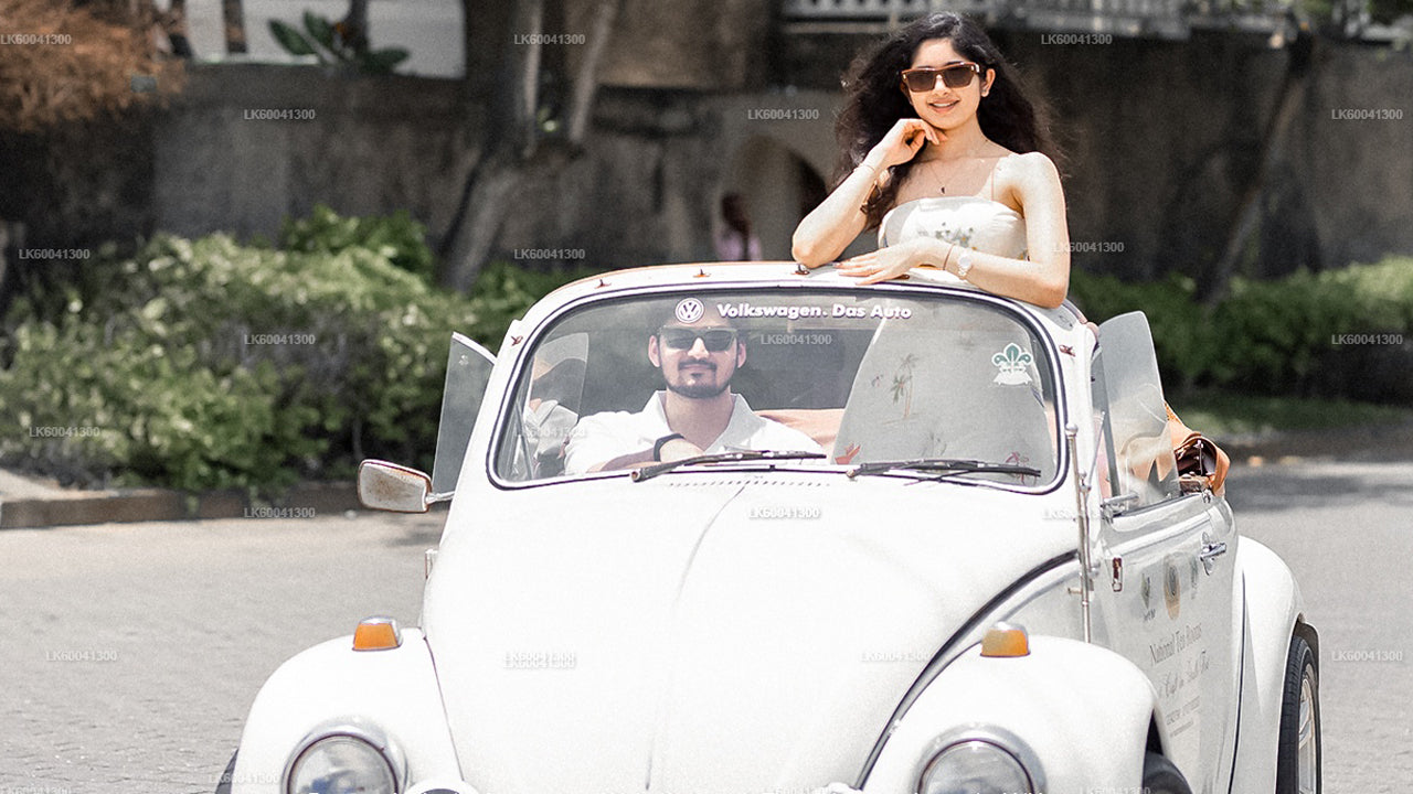 Экскурсия по городу Галле и его окрестностям на классическом автомобиле