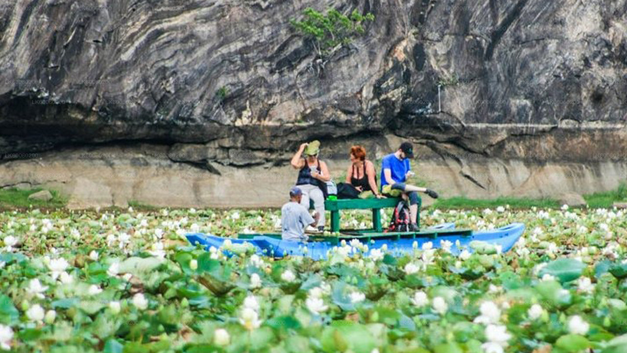 People on a boat among lotus flowers with a rocky cliff in the background