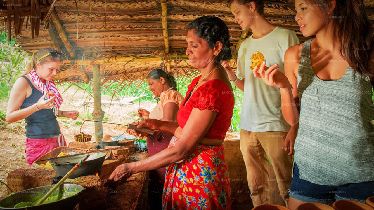 Экскурсия по деревне Хиривадунна из Хабараны