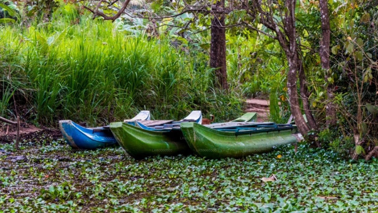 Экскурсия по деревне Хиривадунна из Хабараны
