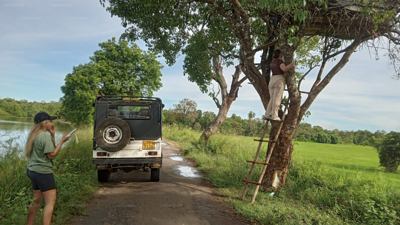 Экскурсия по деревне Хиривадунна из Хабараны