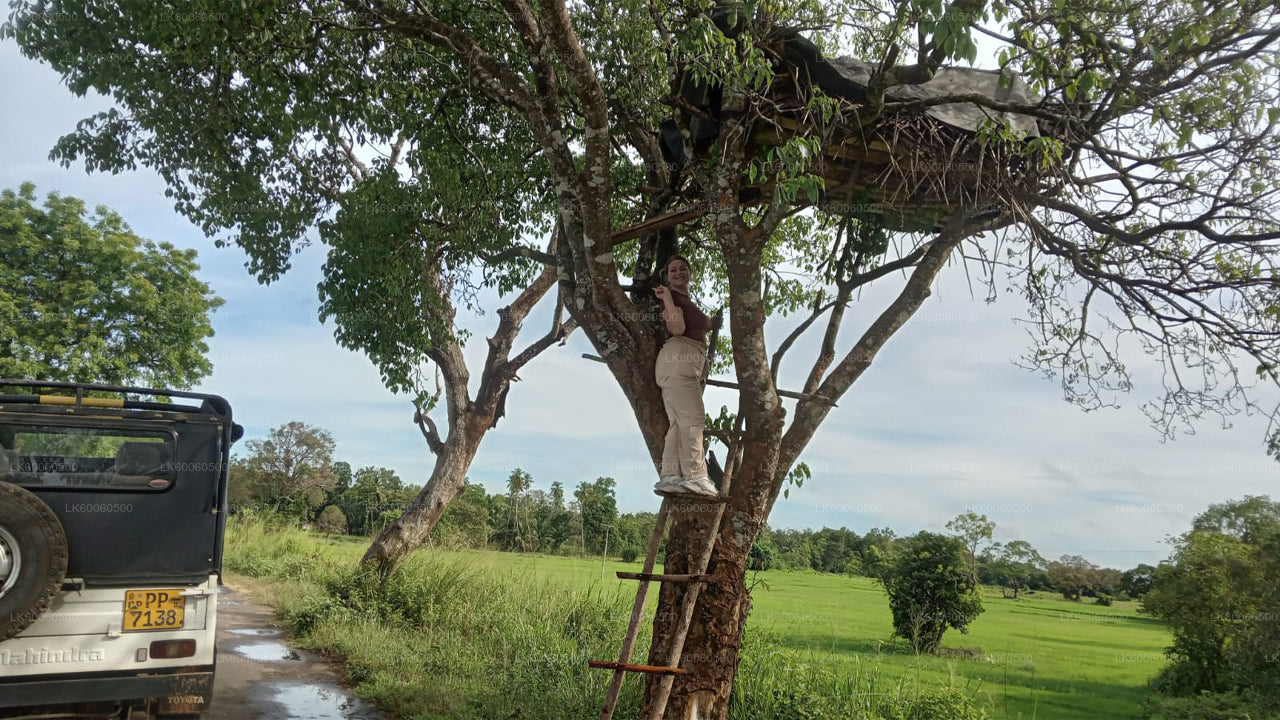 Экскурсия по деревне Хиривадунна из Хабараны