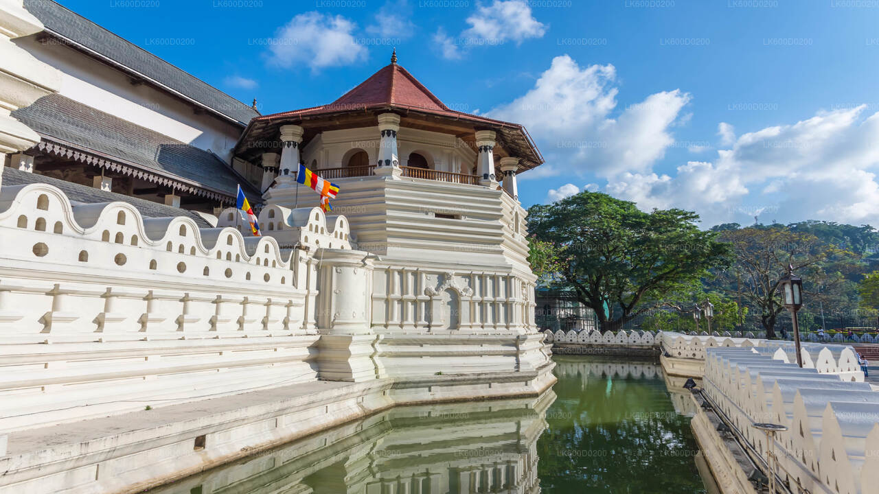 Kandy City Tour From Ahungalla