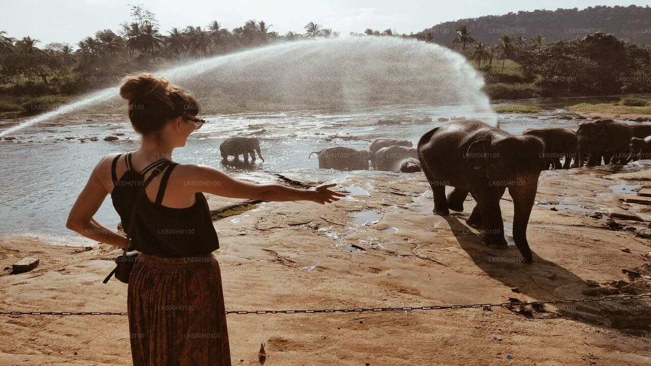 Экскурсия по городу Канди из Китулгалы