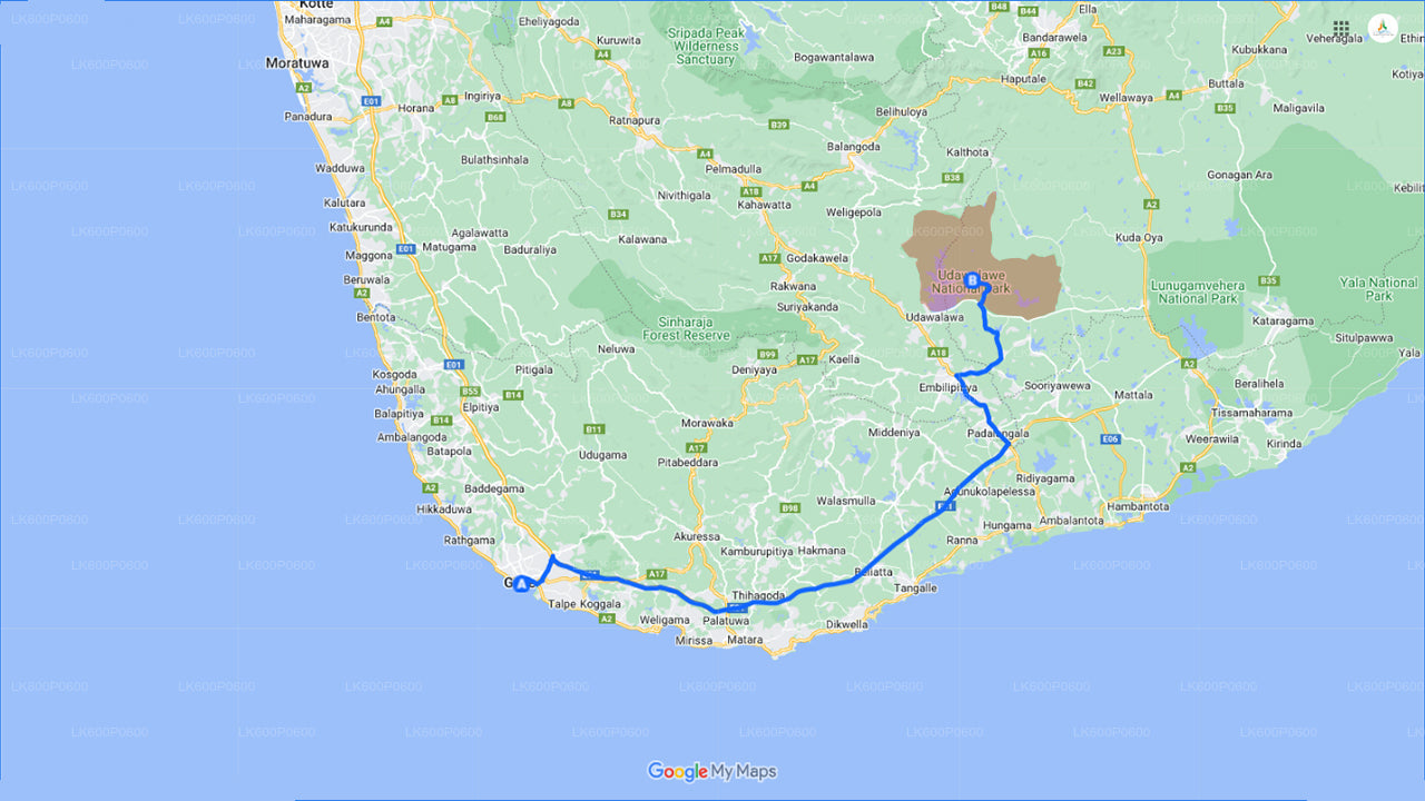 Сафари в национальном парке Удавалаве из Галле