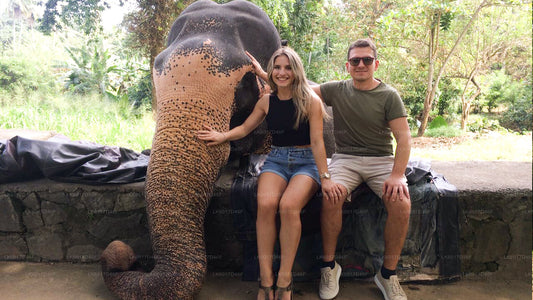 Millennium Elephant Foundation from kalutara