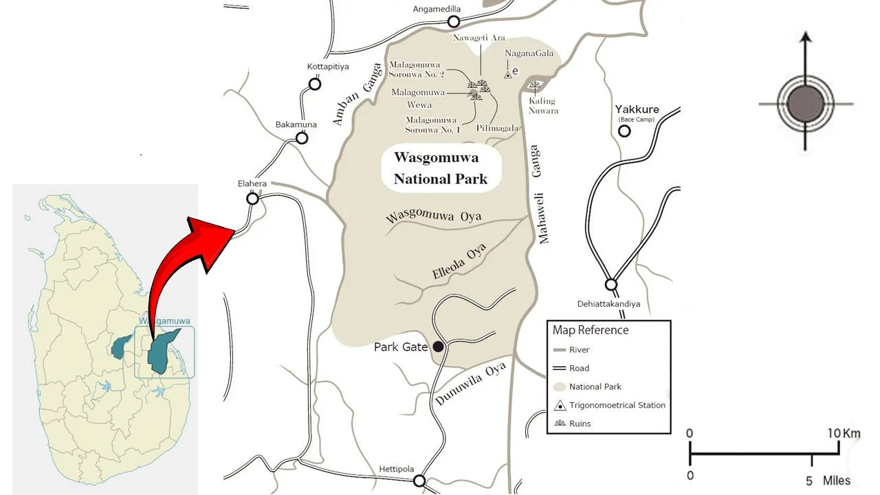Сафари в национальном парке Вазгамува с отправлением из Полоннарувы.