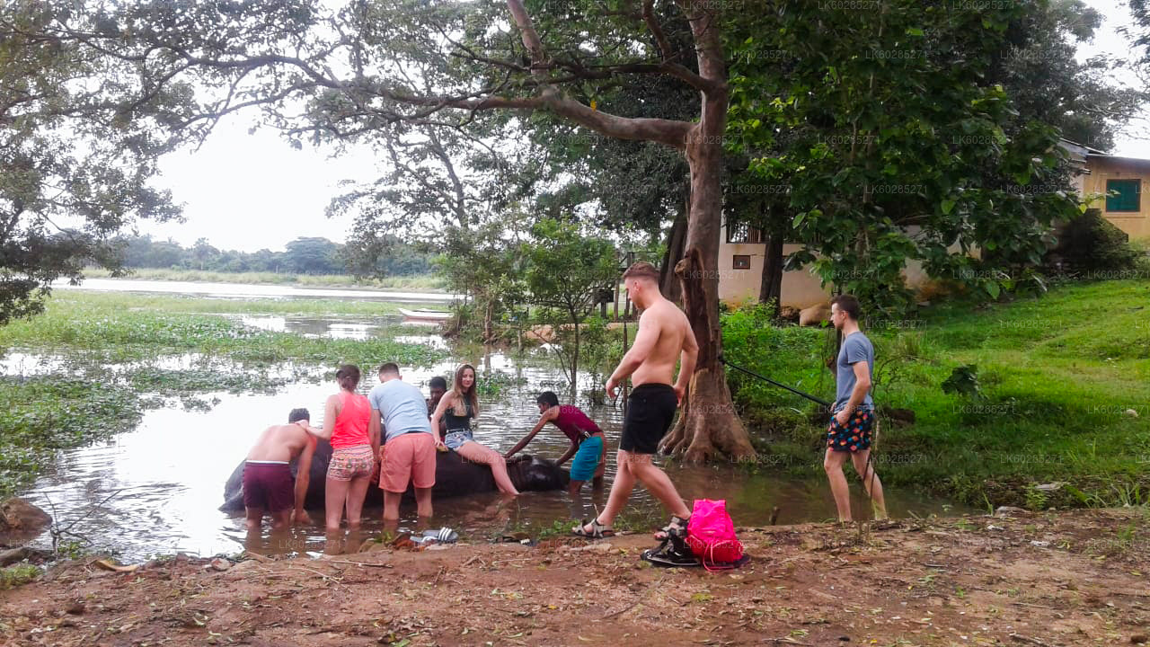 Сафари на слонах из Хабараны