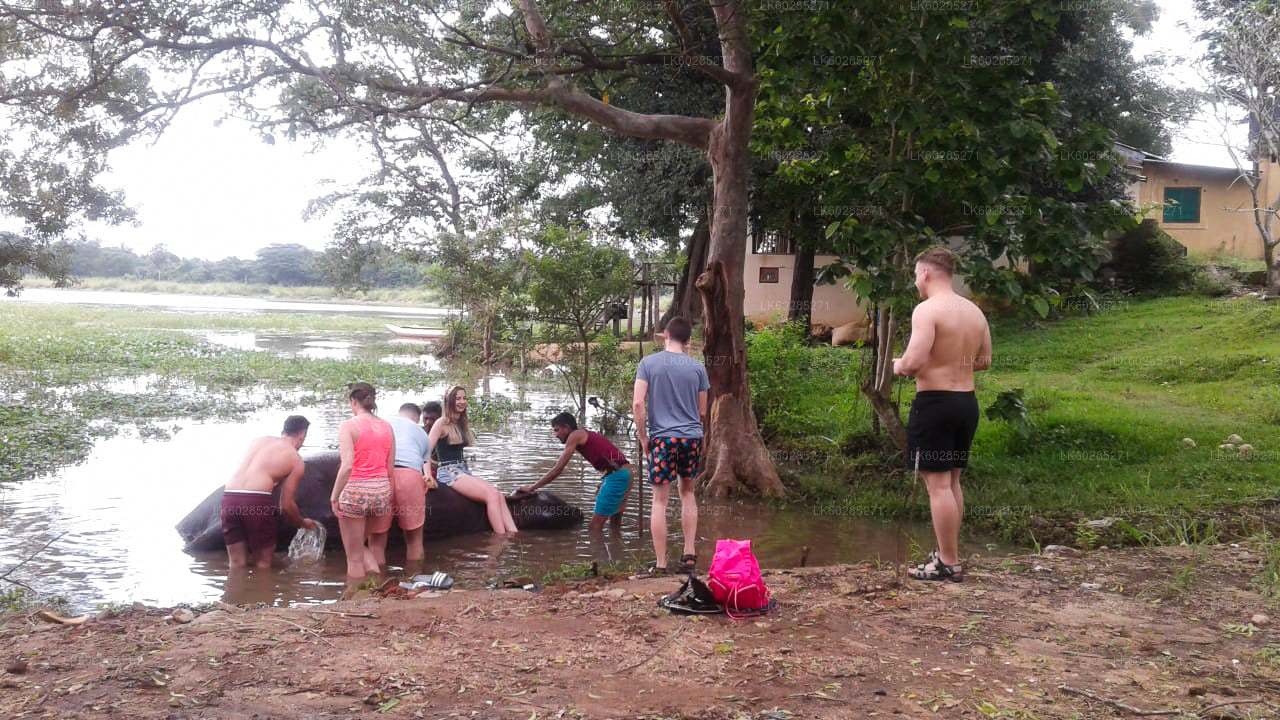 Сафари на слонах из Хабараны