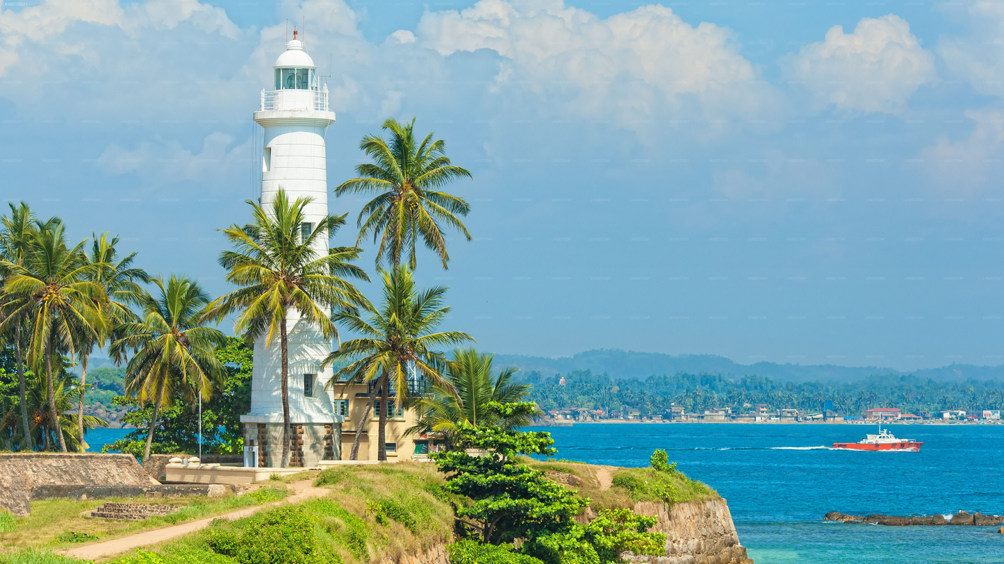 Coastal Transfer from Mirissa to Colombo with Sightseeing Stops