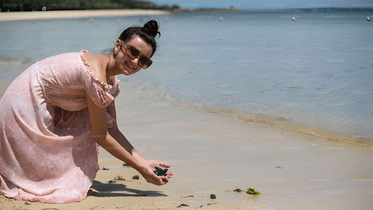 Выпуск детенышей черепах из Косгоды