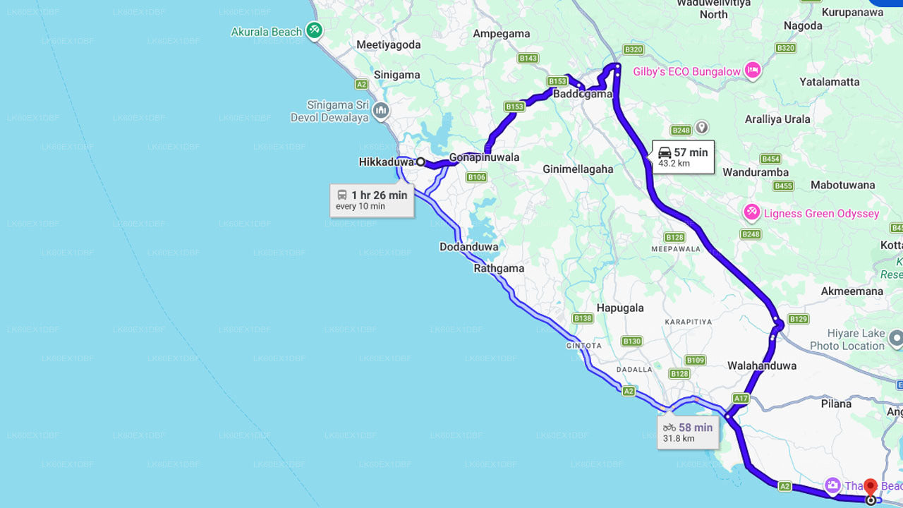 Выпуск детенышей черепах в Хабарадуве