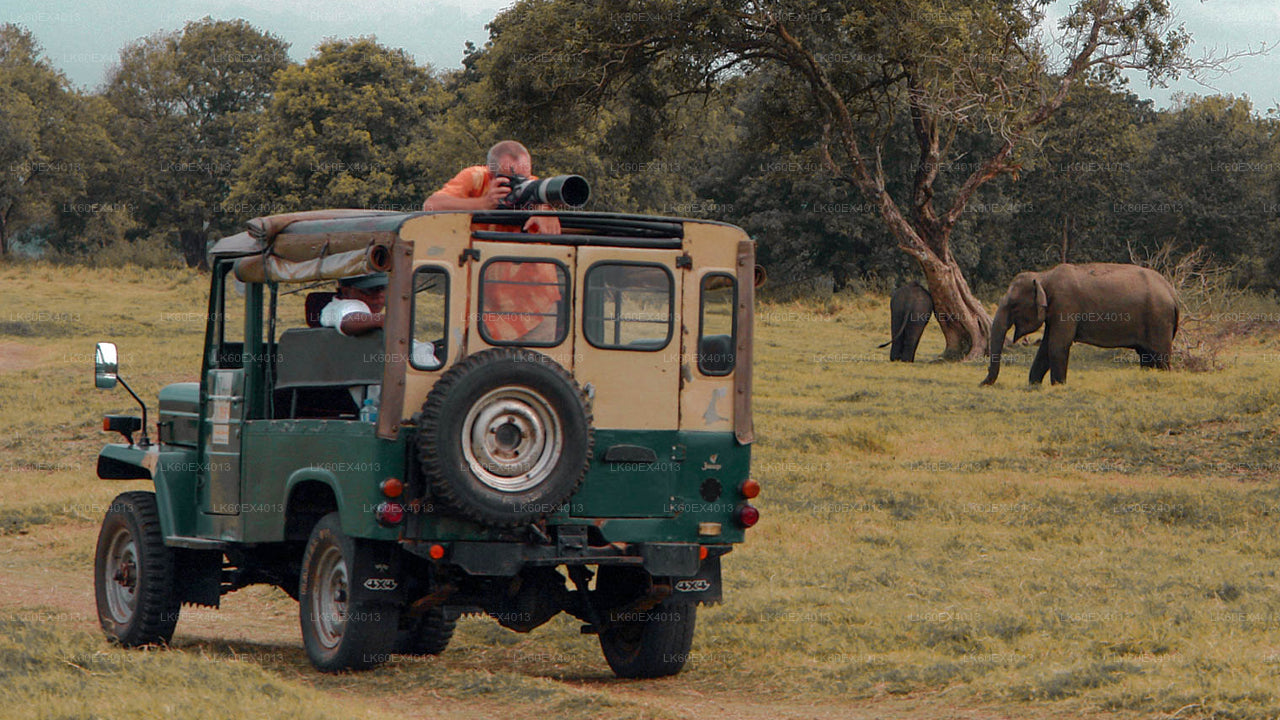 Сафари в национальном парке Удавалаве из Мирисы