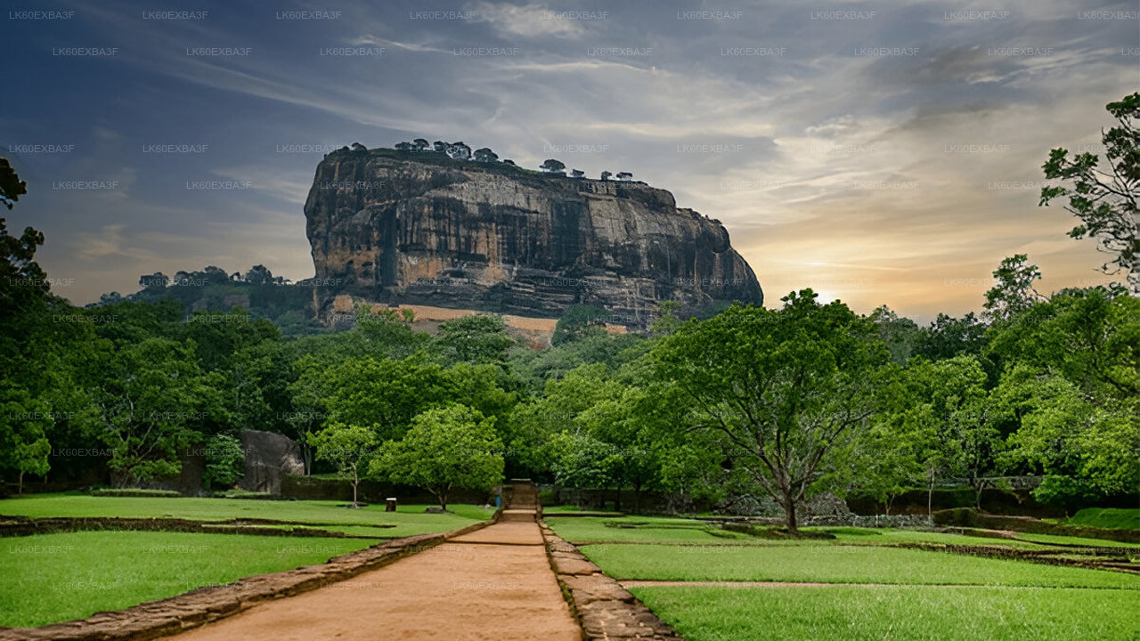 Sigiriya Rock in Sri Lanka with a pathway leading up to it.