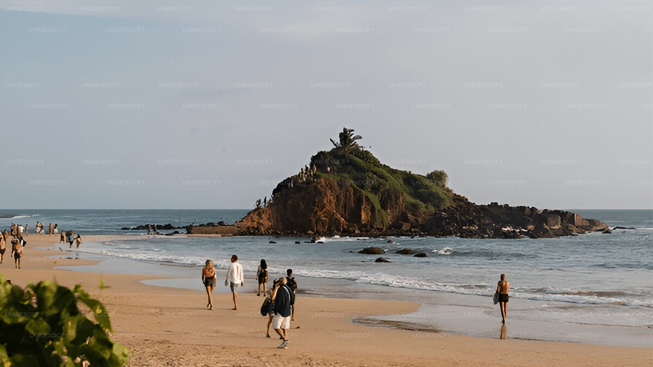 Частный тур из Эллы в Мириссу с сафари в Удавалаве