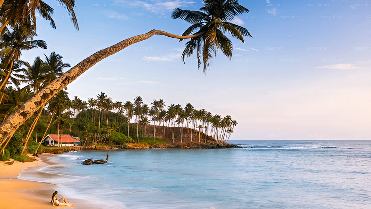 Частный тур из Эллы в Мириссу с сафари в Удавалаве