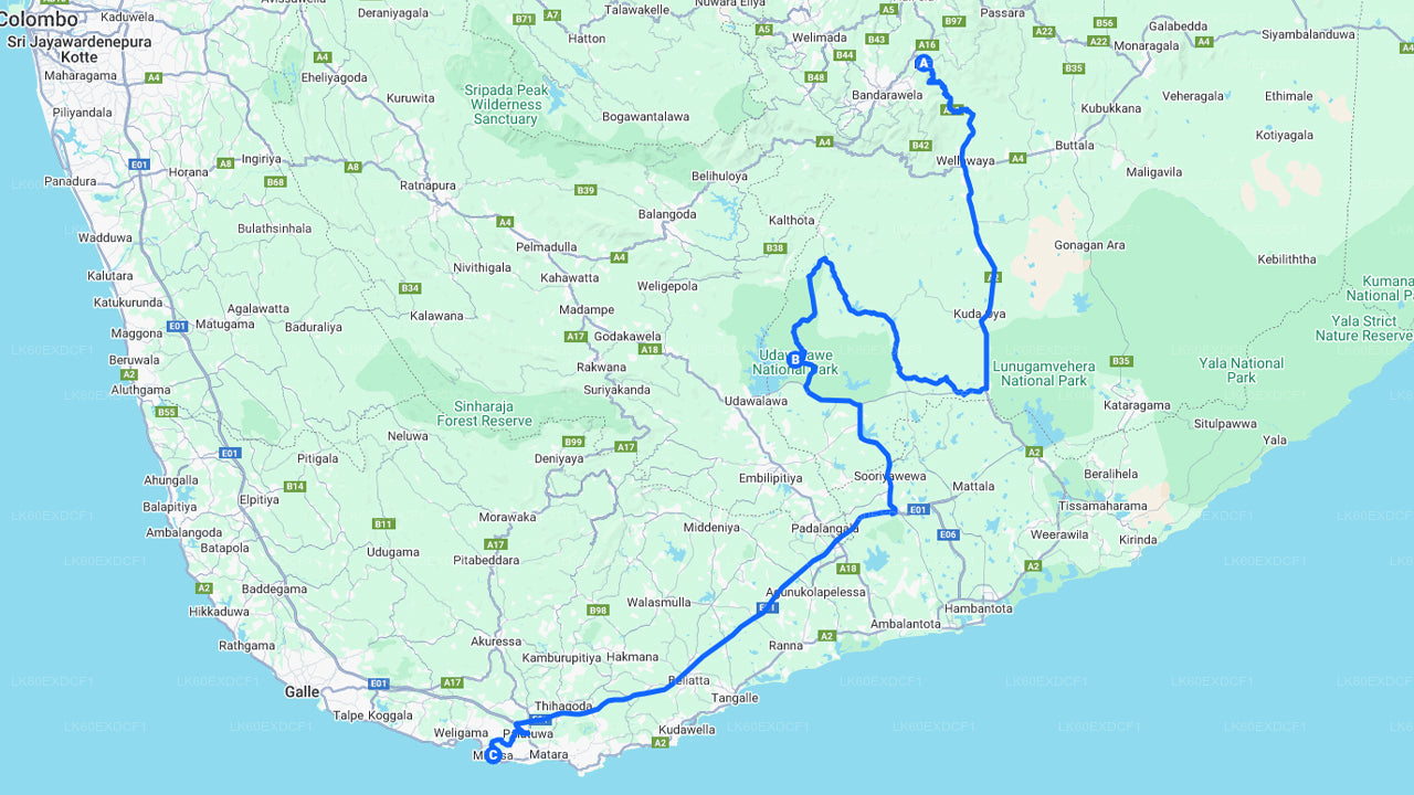 Частный тур из Эллы в Мириссу с сафари в Удавалаве