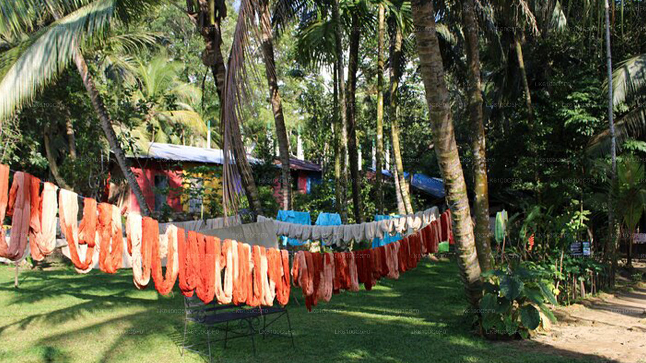 Откройте для себя скрытые жемчужины Галле и пообедайте с местными жителями