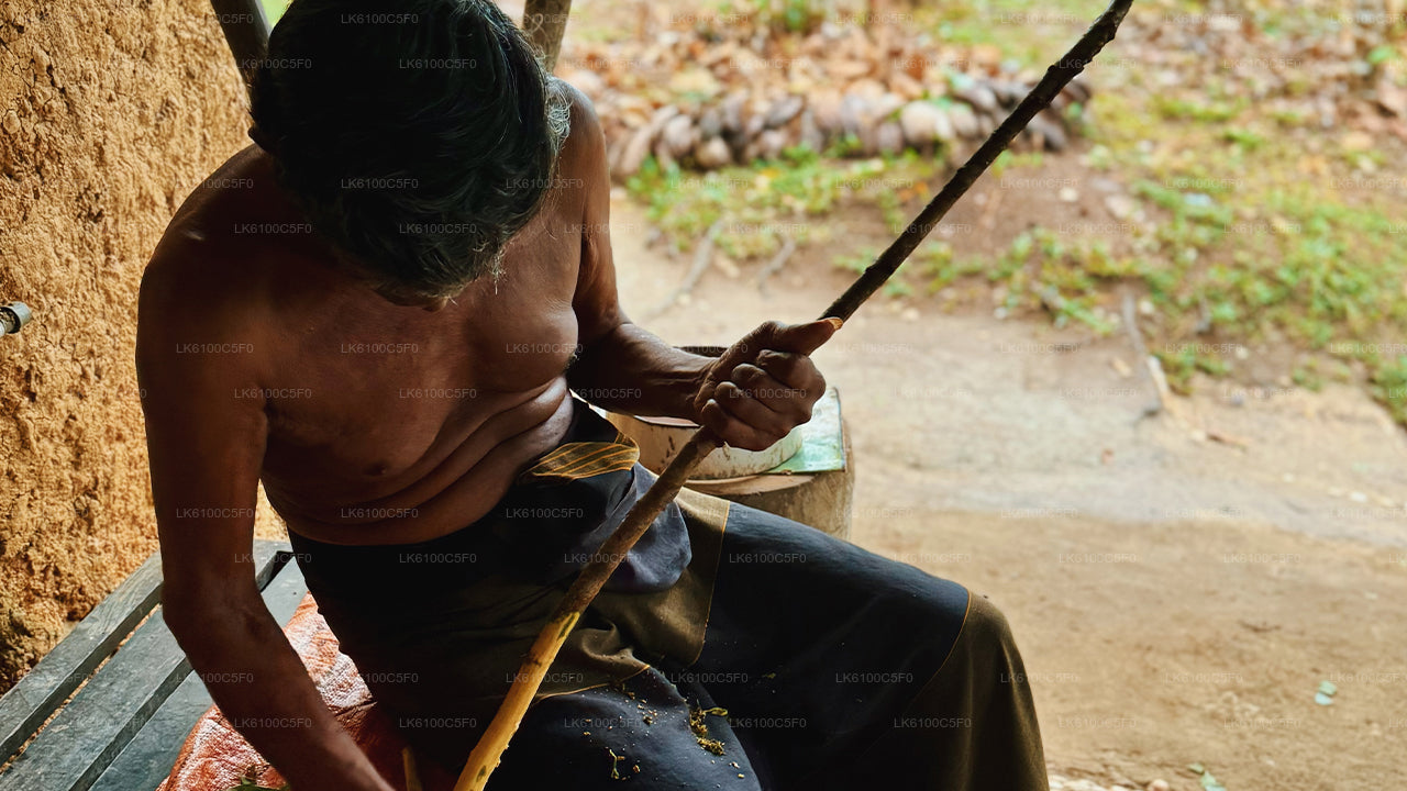 Откройте для себя скрытые жемчужины Галле и пообедайте с местными жителями