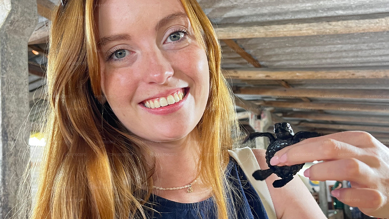 Откройте для себя скрытые жемчужины Галле и пообедайте с местными жителями