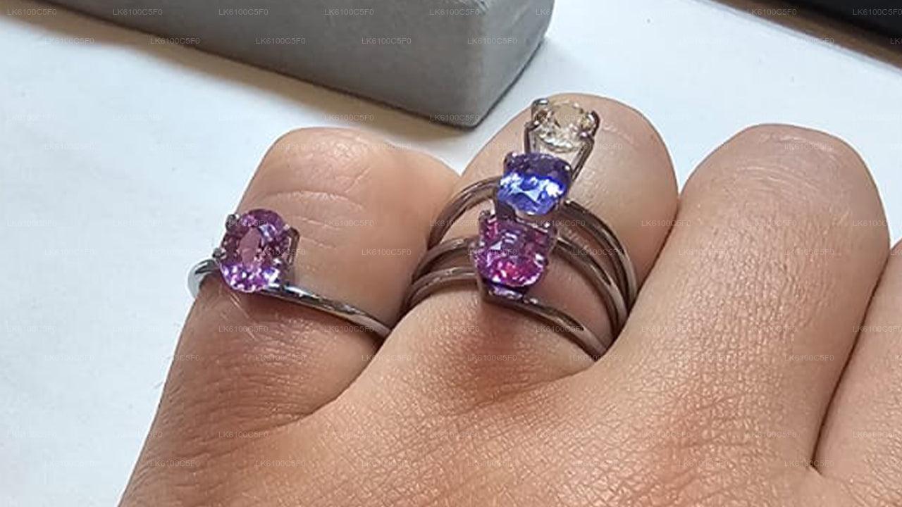 Откройте для себя скрытые жемчужины Галле и пообедайте с местными жителями